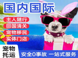 宜昌三峡机场物流国际宠物托运 【国